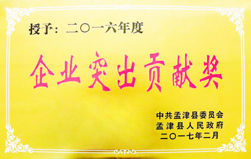 隆華節(jié)能榮獲孟津縣2016年度“企業(yè)突出貢獻獎”榮譽稱號